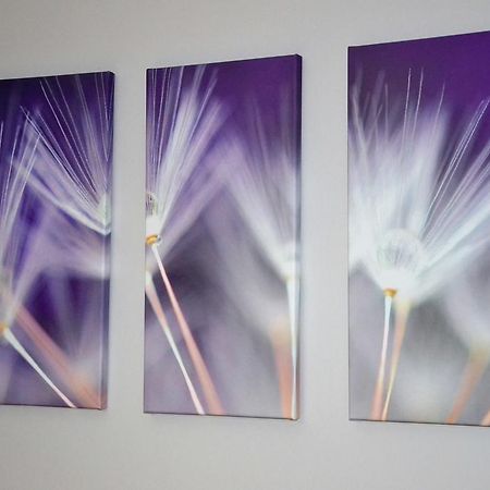 Apartamenty Krawiecka Zielona Góra Esterno foto